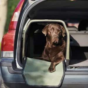 Seeland Dog Transporter Box - Labrador