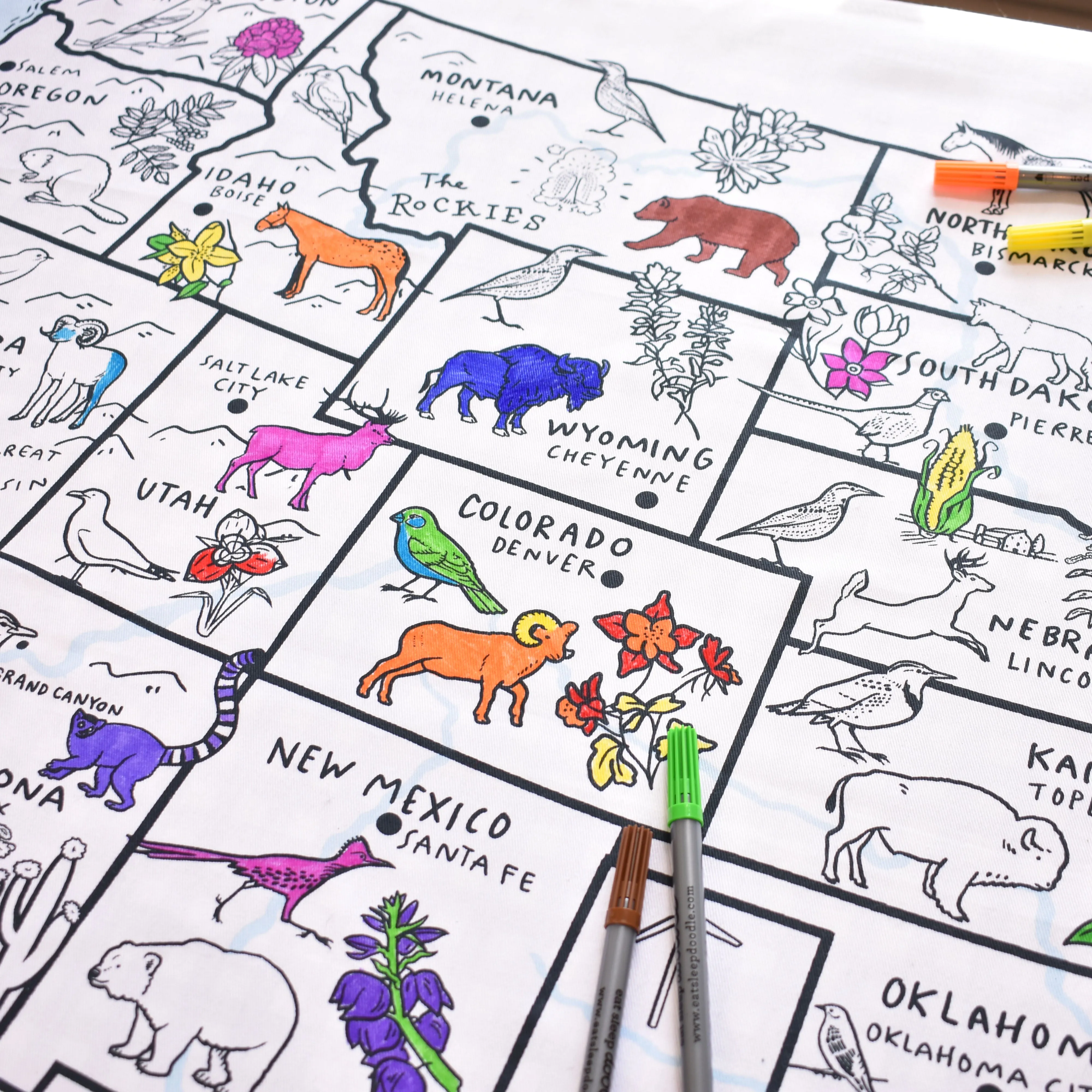 United States map color in tablecloth