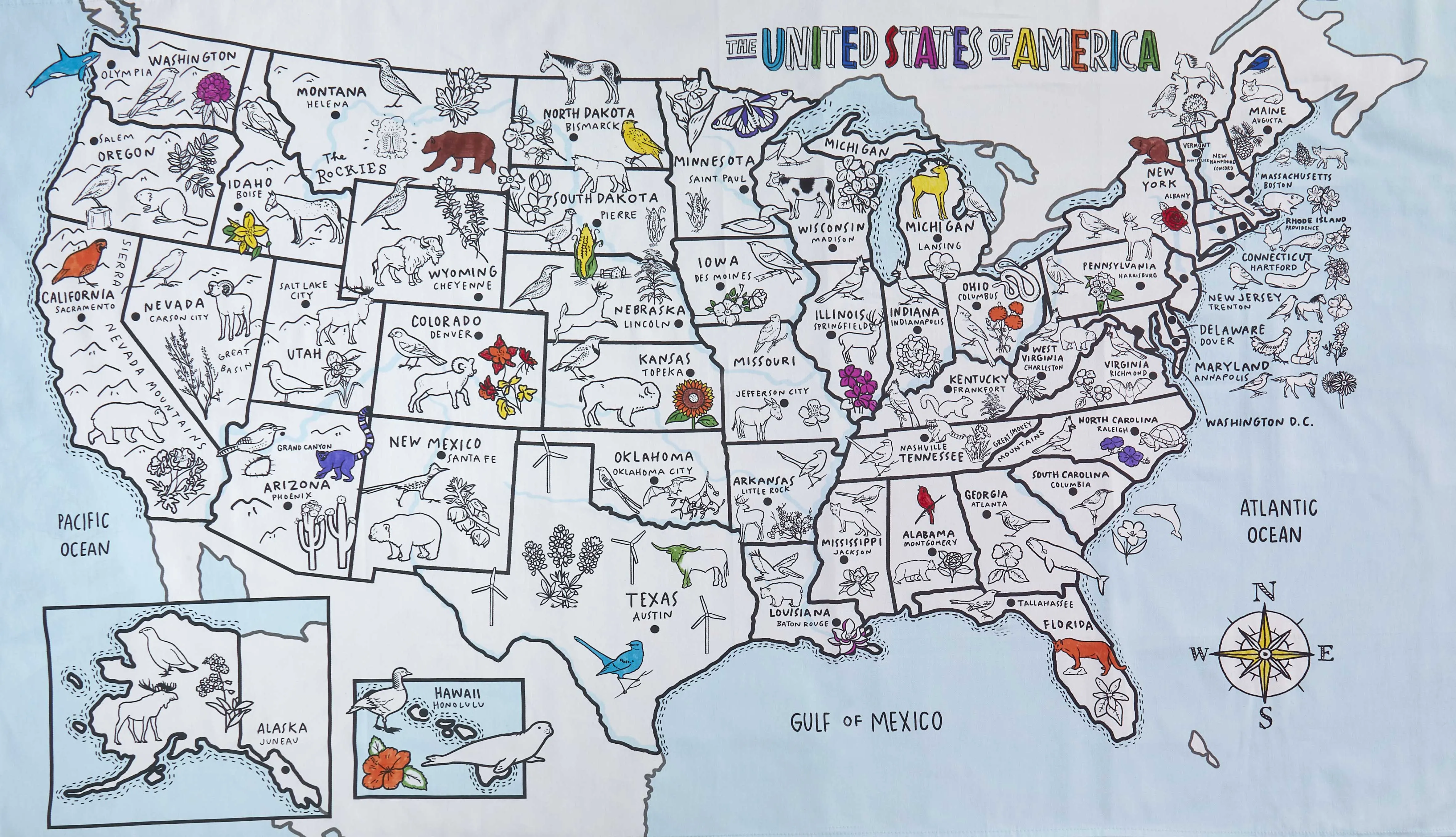 United States map color in tablecloth