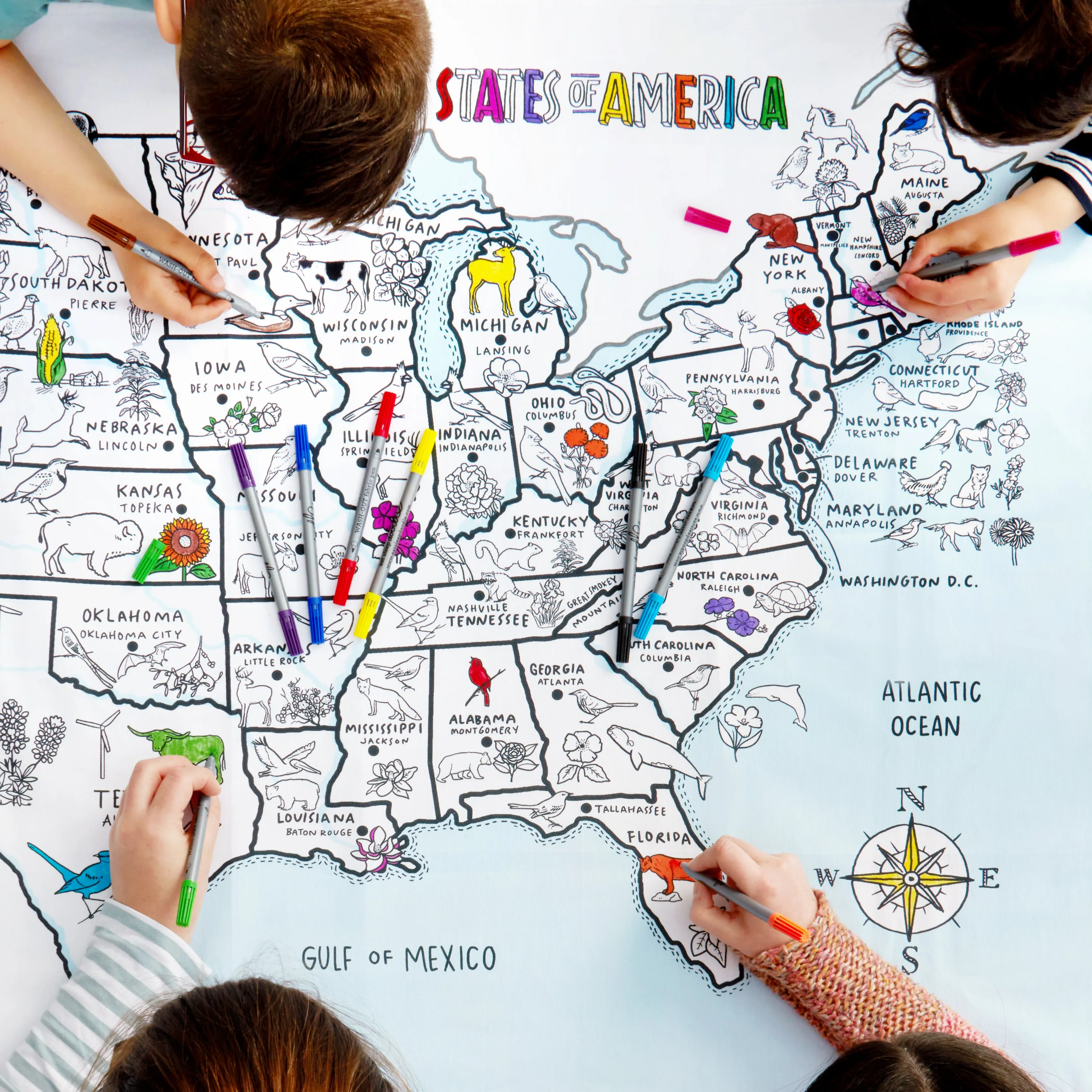 United States map color in tablecloth